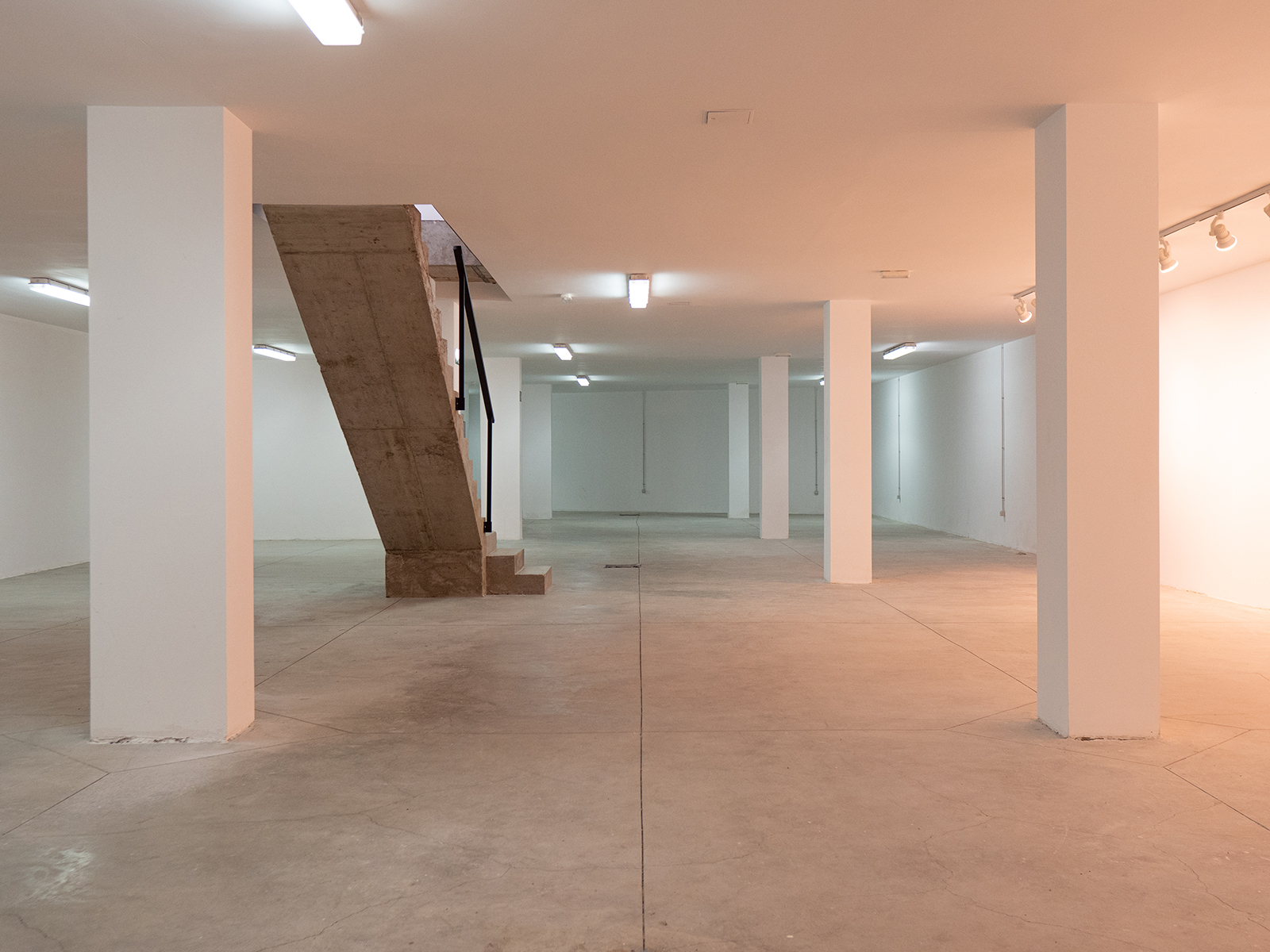 coworking en las palmas desenred 29