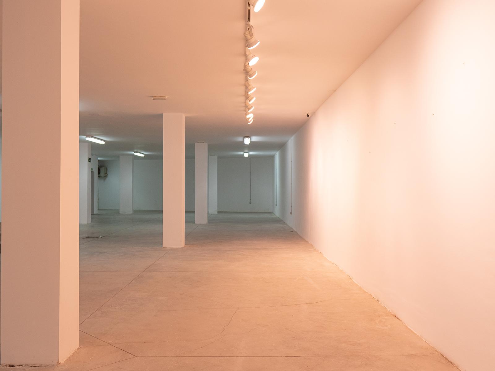 coworking en las palmas desenred 30