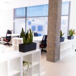 desenred coworking calidad en las palmas gran canaria