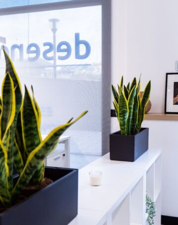 desenred coworking calidad en las palmas gran canaria